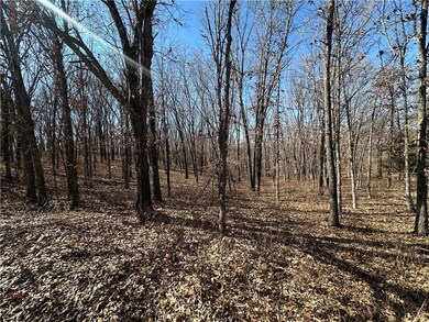 LOTS 3155,3156,3101 Rolfs Place, Union Township, MO 65326 - photo 7