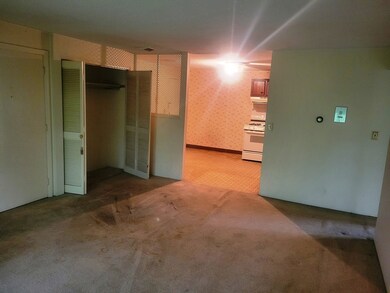 1285 Lawrence St unit 8, Lowell, MA 01852 - photo 4