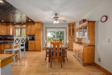 N3732 690th St, Ellsworth, WI 54011 - photo 7