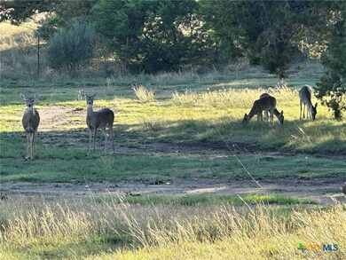 1113 Lutheran Church Rd unit 1115, Copperas Cove, TX 76522 - photo 4