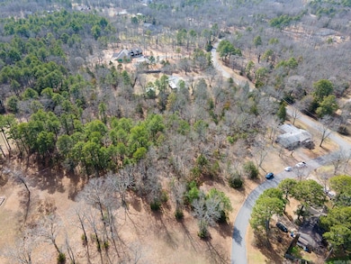 0 Pauls Ln, Conway, AR 72034 - photo 2