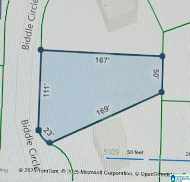 5113 Biddle Cir, Mount Olive, AL 35117 - photo 3