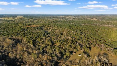 1448 County Road 3310, Jacksonville, TX 75766 - photo 3