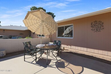 9889 W Spanish Moss Ct, Sun City, AZ 85373 - photo 5