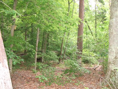 misc pictures 032