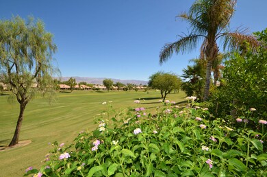 Rear Patio11