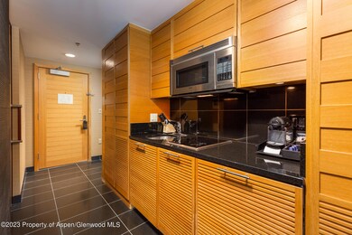 130 Wood Rd unit 504, Snowmass Village, CO 81615 - photo 6