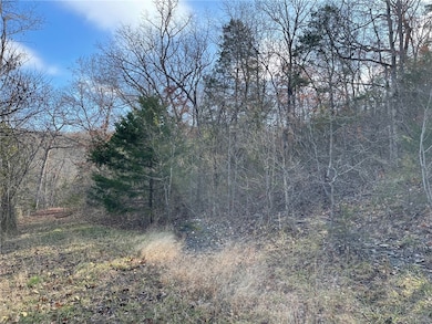 0 Ria Ln unit 1295309, Eureka Springs, AR 72631 - photo 2