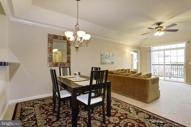 8611 Wintergreen Ct unit 301, Odenton, MD 21113 - photo 7