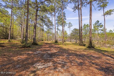 3110 Dogpatch Rd, Kiln, MS 39556 - photo 5