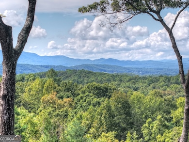 67 Antler Way, Morganton, GA 30560 - photo 3