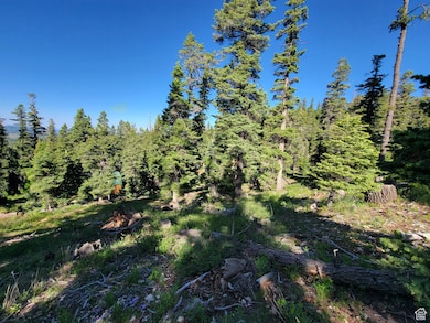 6220 W Brook Ln, Duck Creek, UT 84762 - photo 3