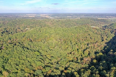 1285 Nelson Rd, Jefferson Township, OH 45648 - photo 2