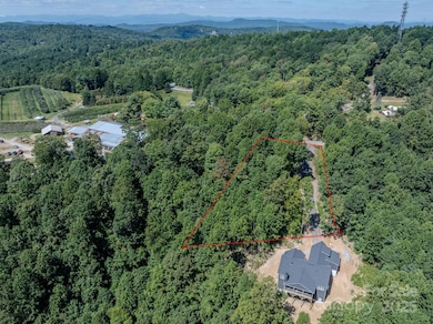 0000 Pinnacle Mountain Rd unit 1, Zirconia, NC 28790 - photo 5