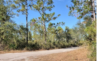 0 County Line & Prine unit 121576, Lee, FL 32059 - photo 6