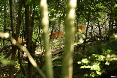 000 205th St, Kinderhook, IL 62345 - photo 3