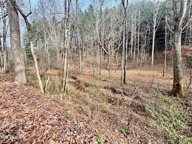 TBD Yellow Branch Rd, Rose Hill, VA 24281 - photo 5