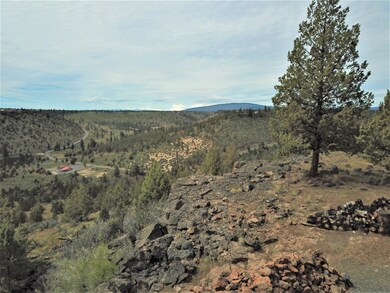 11501Yucca6