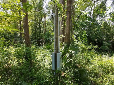 Lot 4 NW 5th St, Carrabelle, FL 32322 - photo 2