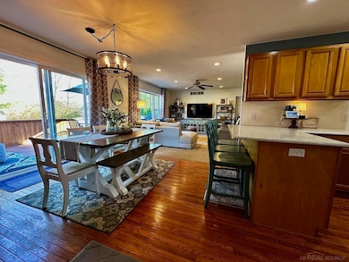 14639 Carlon Dr, Lake Odessa, MI 48849 - photo 5