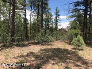 360 Aspen Way unit 207, Show Low, AZ 85901 - photo 3