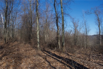 Southern Portion - Potential to follow the grade for a driveway, access via Barberry Rd. Other options available.