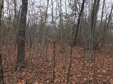 Lot 527 Hobbs 5