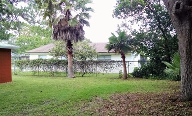 Backyard 2