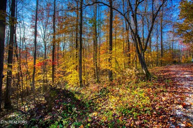 1192 Shellotte Loop, Pall Mall, TN 38577 - photo 6