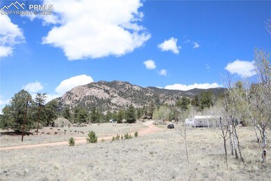 View of Road Driving Up to the Property