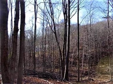 474-480 Mountain Rd, Wilbraham, MA 01095 - photo 3