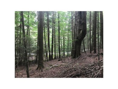 00 County Rd unit 2 & 3, Walpole, NH 03608 - photo 6