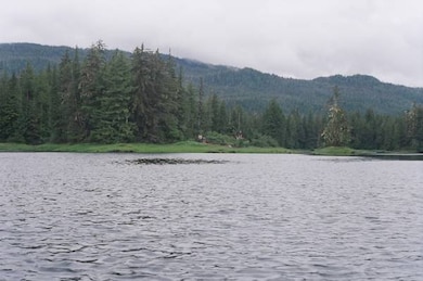 Lot 5 Thom's Place unit 1 Block 4, Wrangell, AK 99929 - photo 3