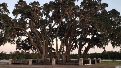 1123 Hickory Knob Ct unit Lot 148, Myrtle Beach, SC 29579 - photo 4