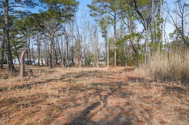 Lot 14A Howard Dr unit 700, Chincoteague, VA 23336 - photo 4