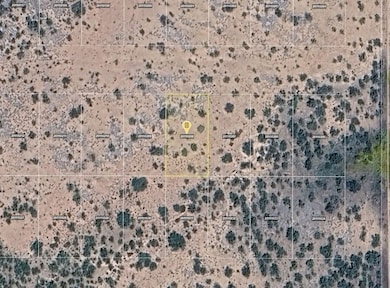 Willcox unit AZ 85643, Willcox, AZ 85643 - photo 5