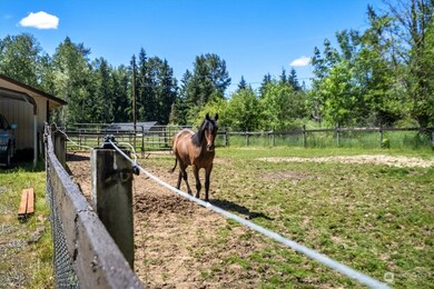 31602 Webster Rd E, Eatonville, WA 98328 - photo 4