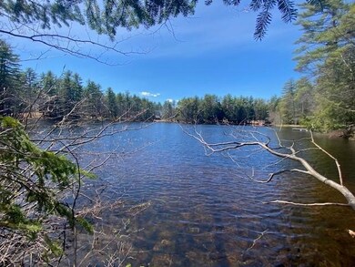 Lakefront water