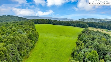 TBD Murphy Bend Rd, Ennice, NC 28623 - photo 3