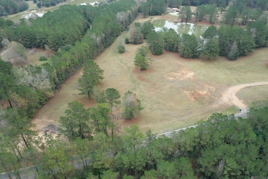 Lot 4-A-1 Louisiana 421, Saint Francisvle, LA 70775 - photo 7