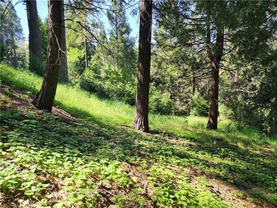 811 Deer Trail, Crestline, CA 92325 - photo 3