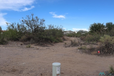 207 Black Range Ave, Elephant Butte, NM 87935 - photo 2