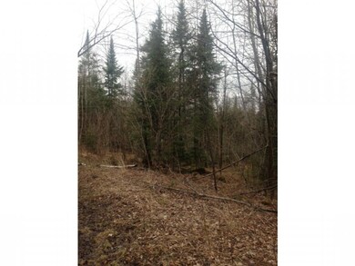 0 Hutchinson Rd unit 4488652, Colebrook, NH 03576 - photo 5