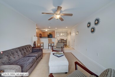 2827BloomfieldEdit-8