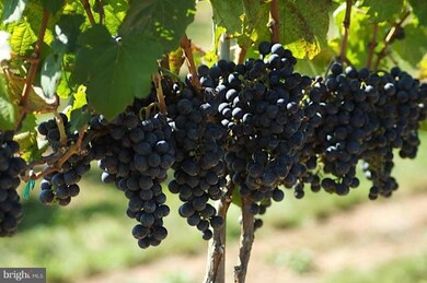 0 Telegraph Springs Rd unit 1000084971, Purcellville, VA 20132 - photo 5