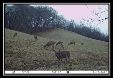 0 Maysville-Williams Rd unit (Tract 4) 223003995, Logan, OH 43138 - photo 2