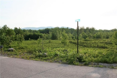 0 Frost Farm Rd Rd unit 1257031, Bridgton, ME 04009 - photo 3