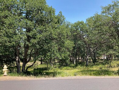 0 Coopers Hawk unit Lot 881 220205807, Klamath Falls, OR 97601 - photo 3