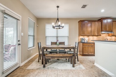 25603 Willard Path, San Antonio, TX 78261 - photo 7