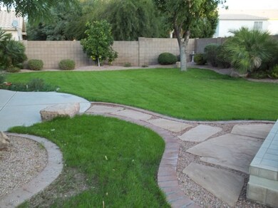 Beautiful  B/yard + Fruit Trees